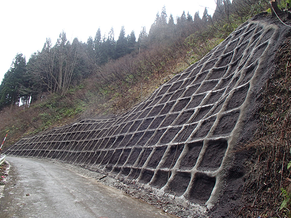 slide4